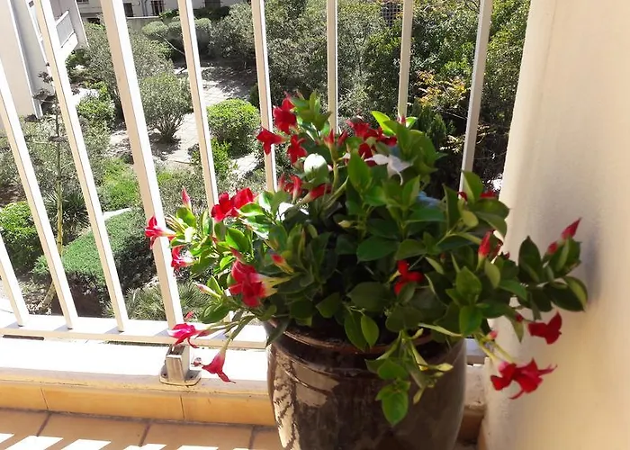 Le Massillon Arenes Centre * Nîmes