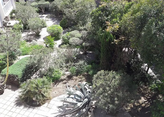 Le Massillon Arenes Centre Nîmes