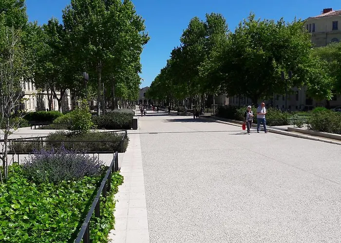 Daire Le Massillon Arenes Centre Nîmes